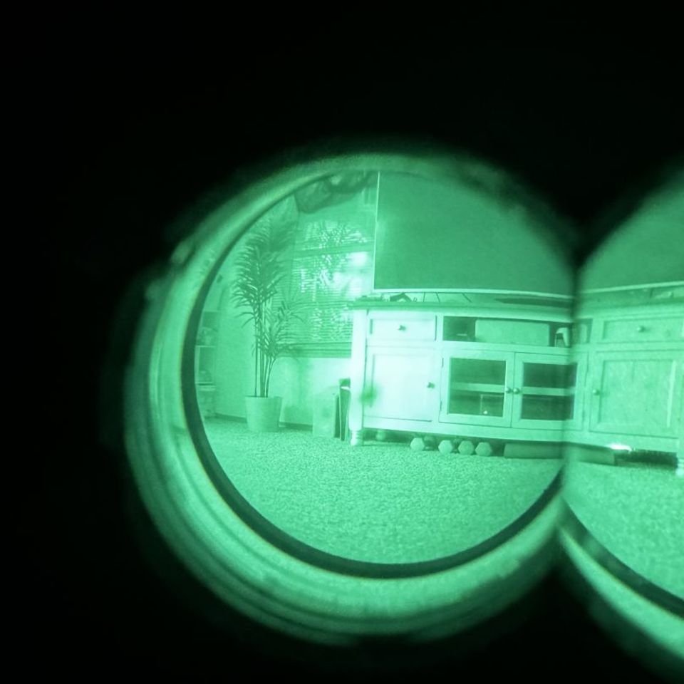 Image 3 - ANVIS 10 Pano NVG