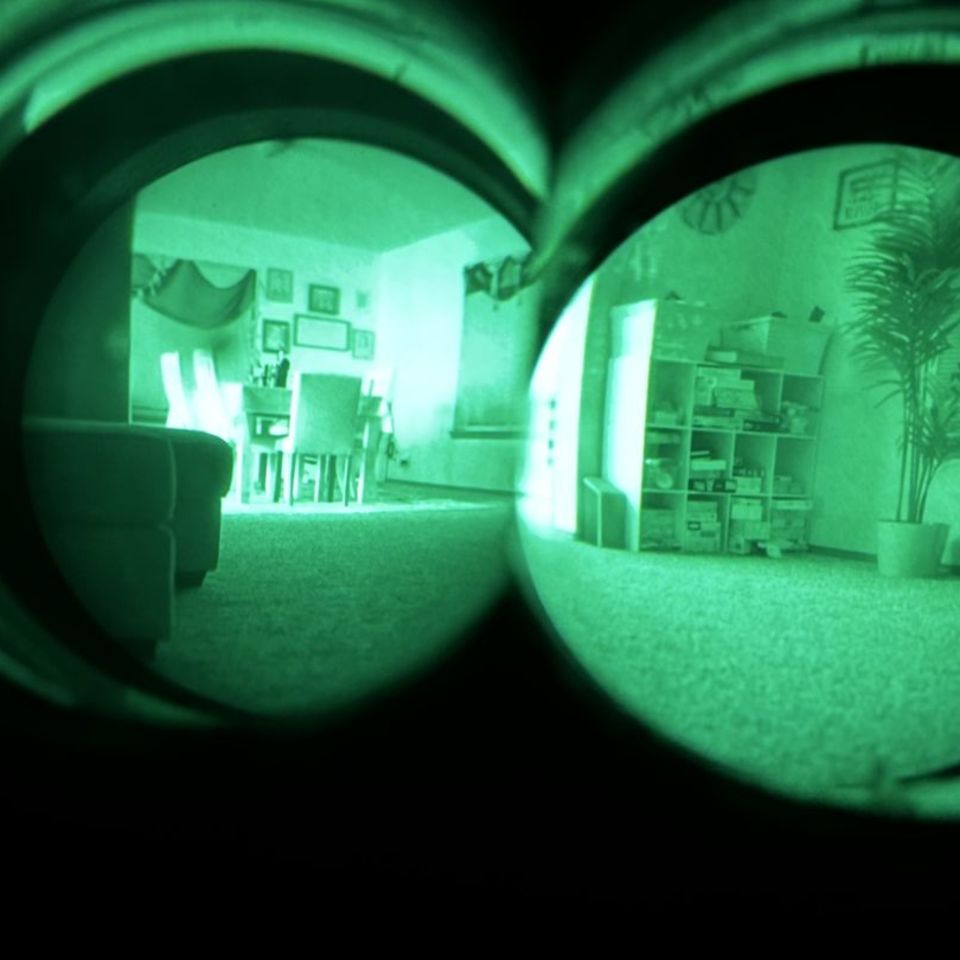 Image 4 - ANVIS 10 Pano NVG