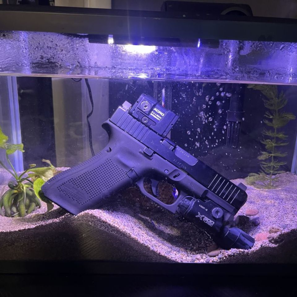 Image 1 - Glawk in da fih tank