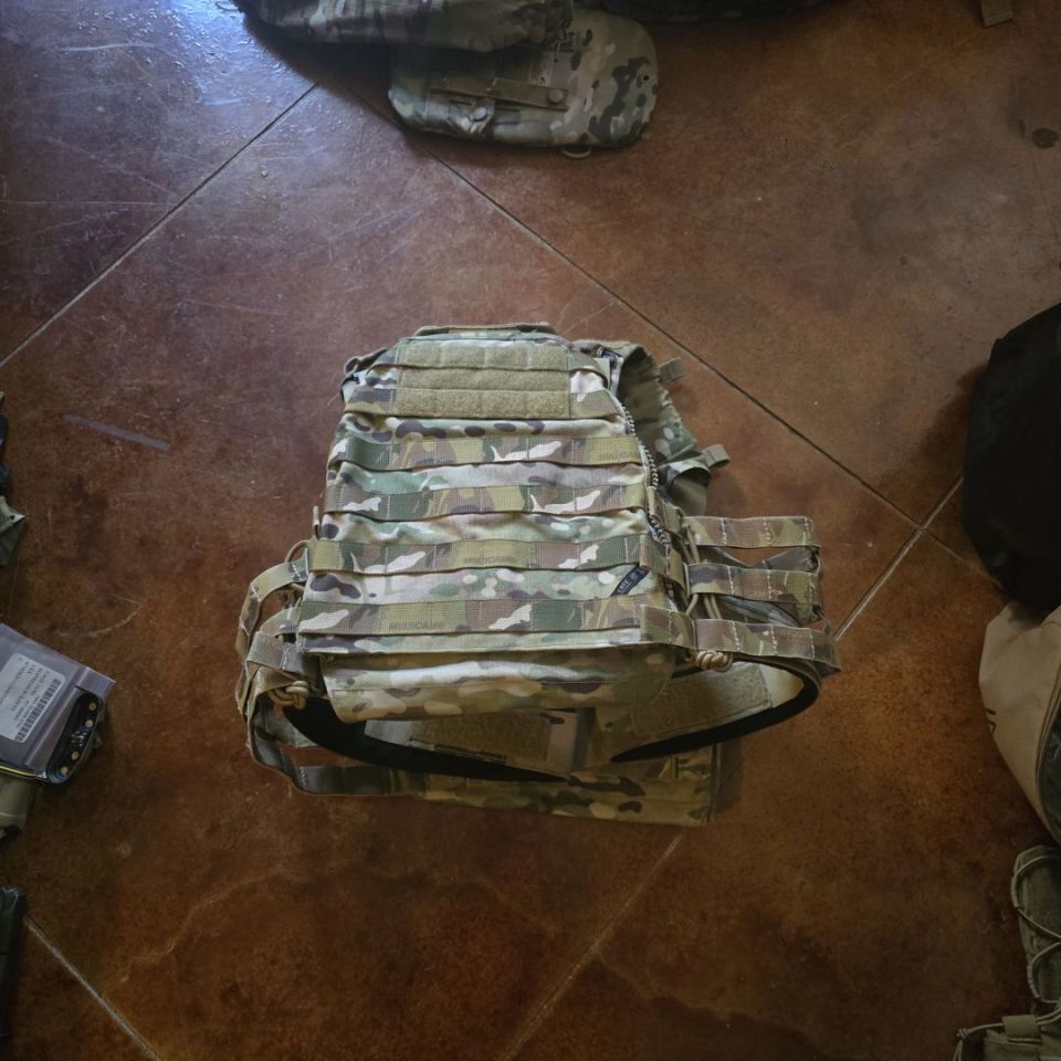 Image 2 - Crye AVS Swimmer