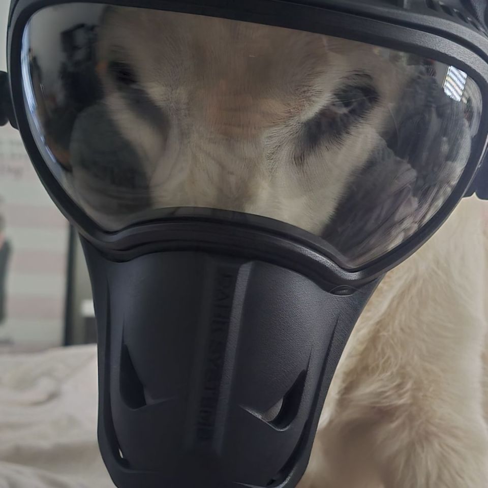 Image 1 - Darkfighter K9 Helmet Gen 2 L