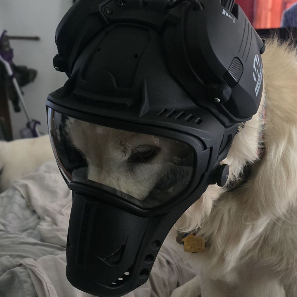 Image 2 - Darkfighter K9 Helmet Gen 2 L