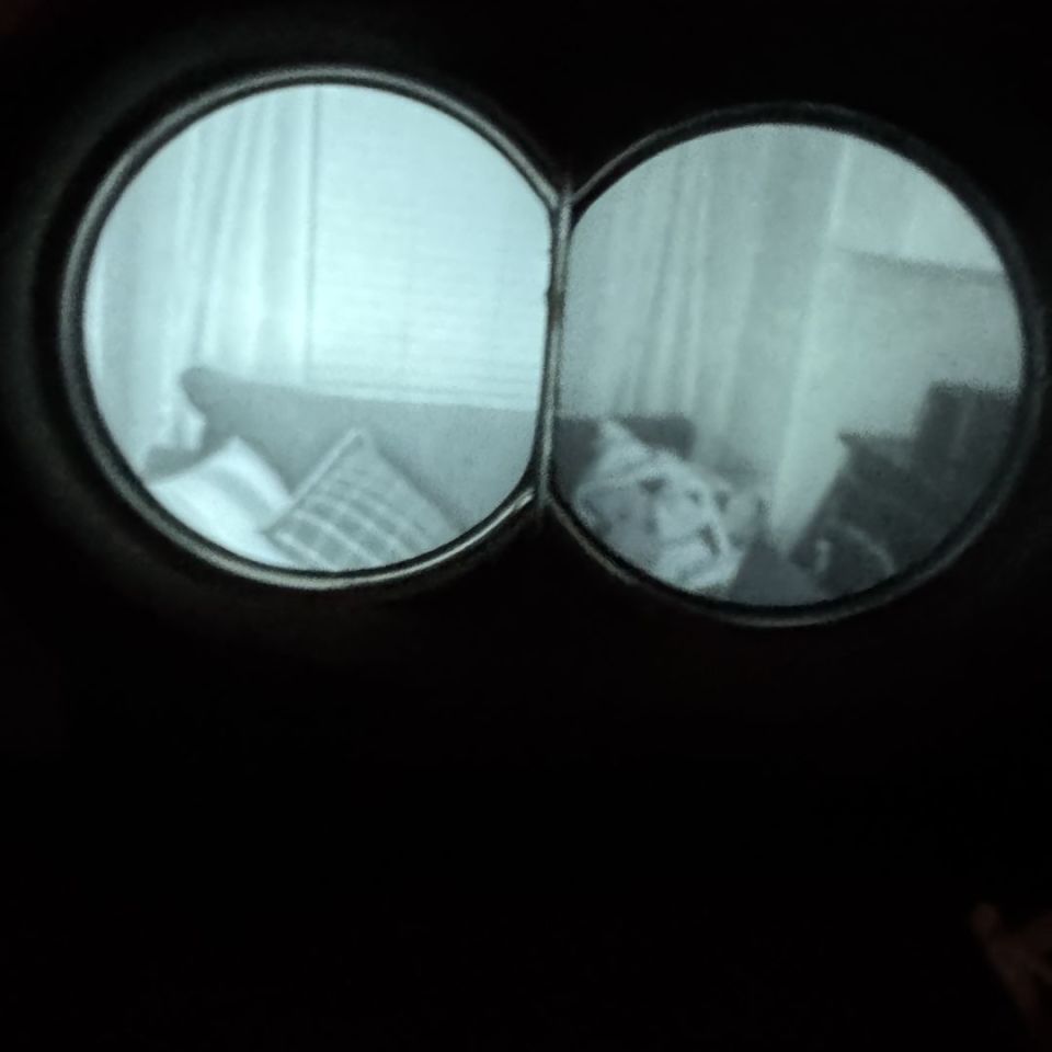 Image 2 - APNVG L3 Supergain 2800+ FOM