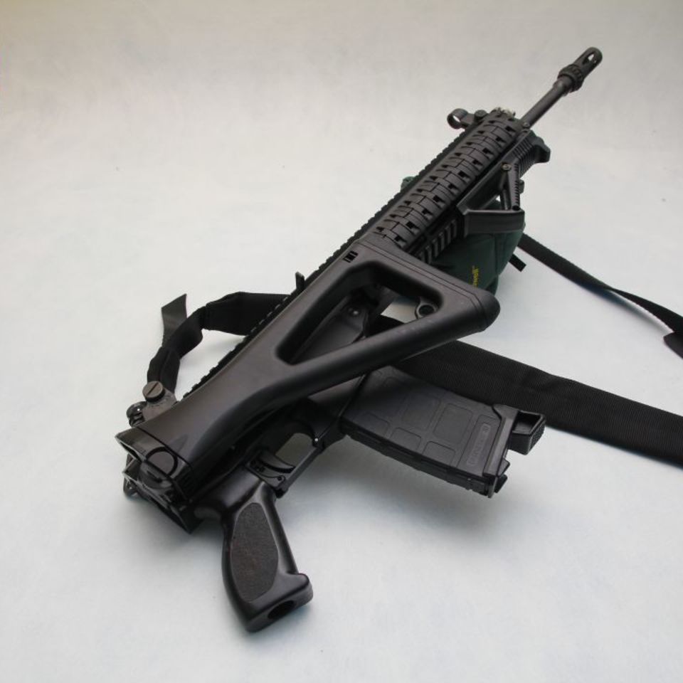 Image 2 - Sig 556 Classic Swat for sale