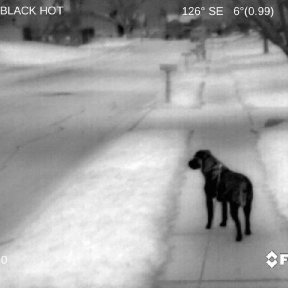 Image 5 - Flir Breach