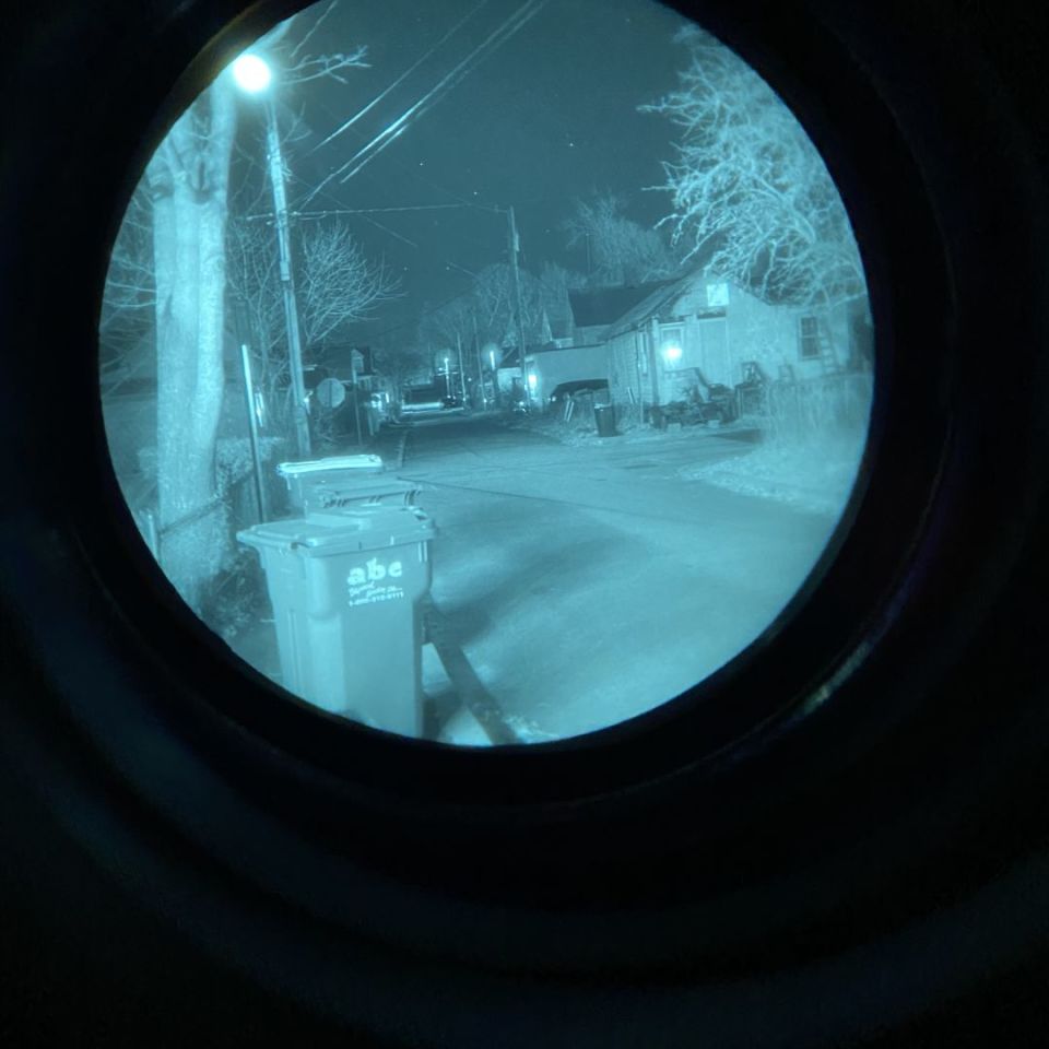 Image 2 - Elbit WP PVS 14 (FOM 2016)