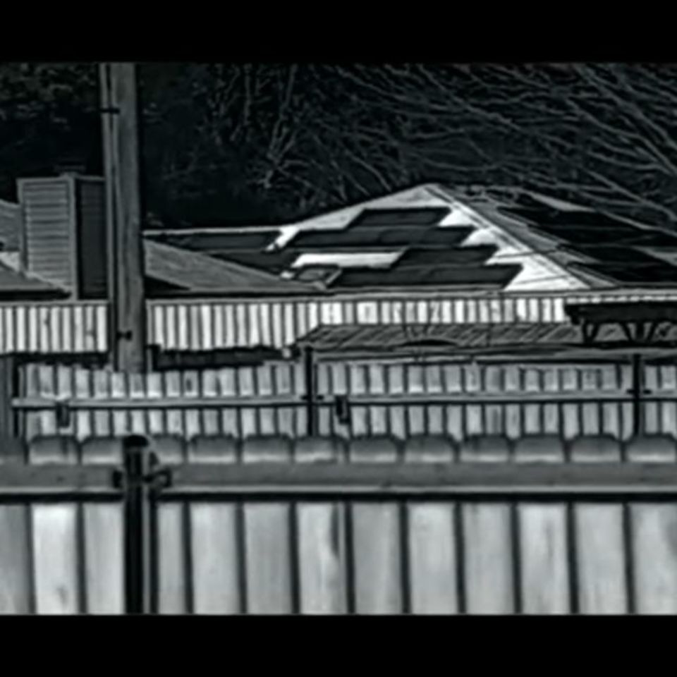 Image 3 - IrayUSA RL25