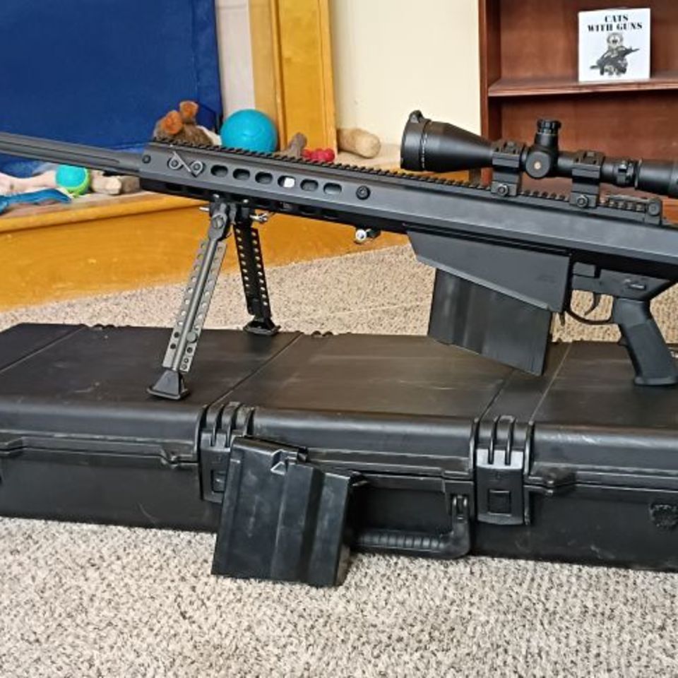 Image 2 - WTT: Barrett M107A1