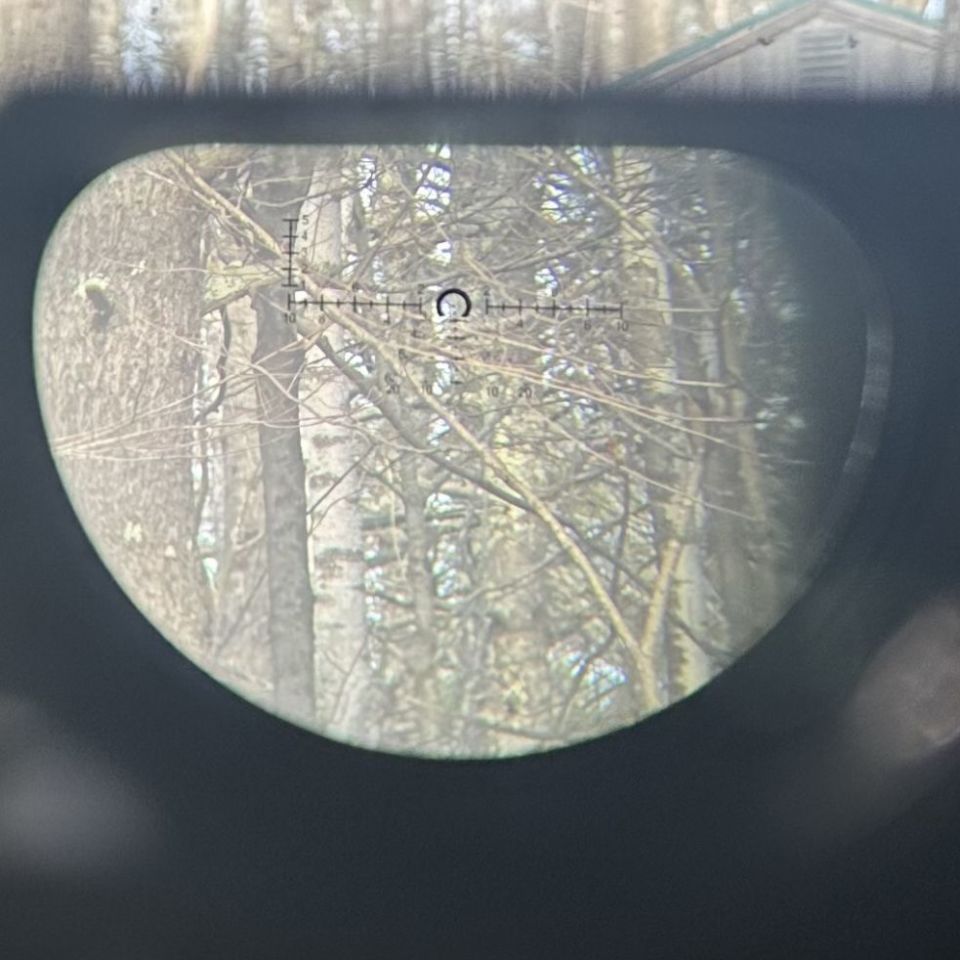 Image 4 - Leupold D-Evo 6x Magnifier 