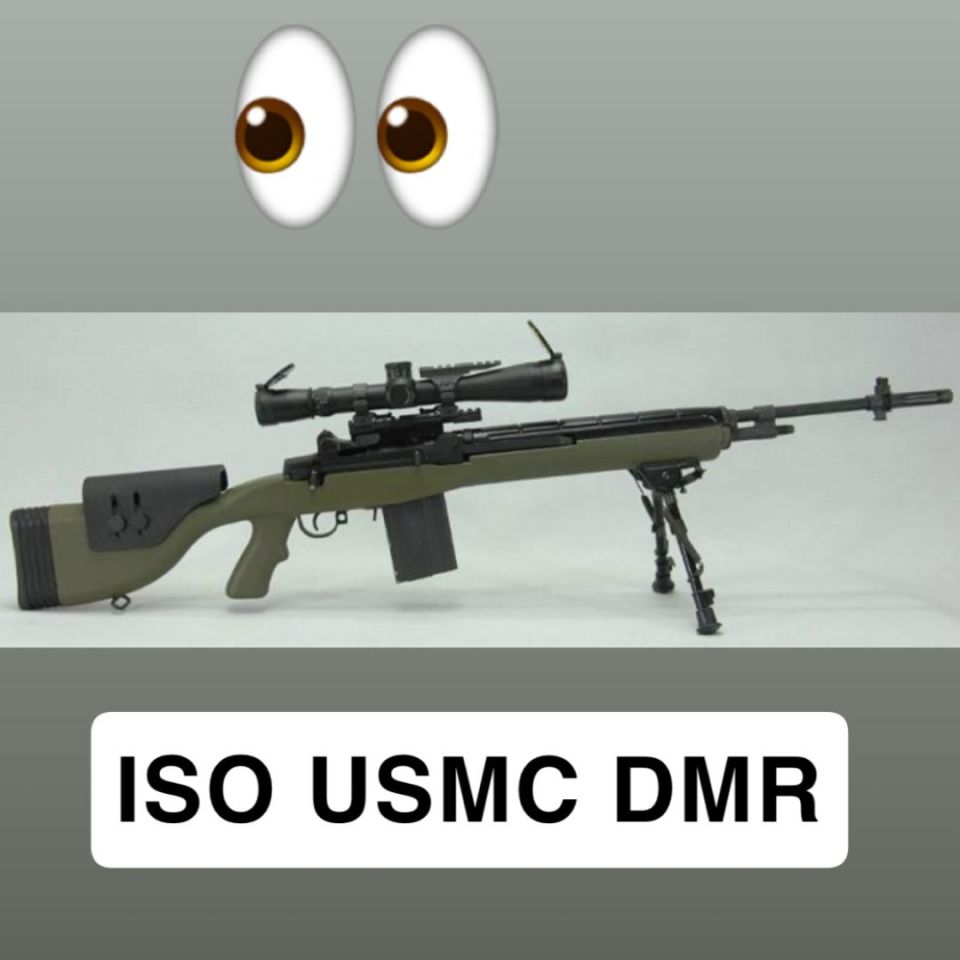 Image 1 - ISO USMC DMR