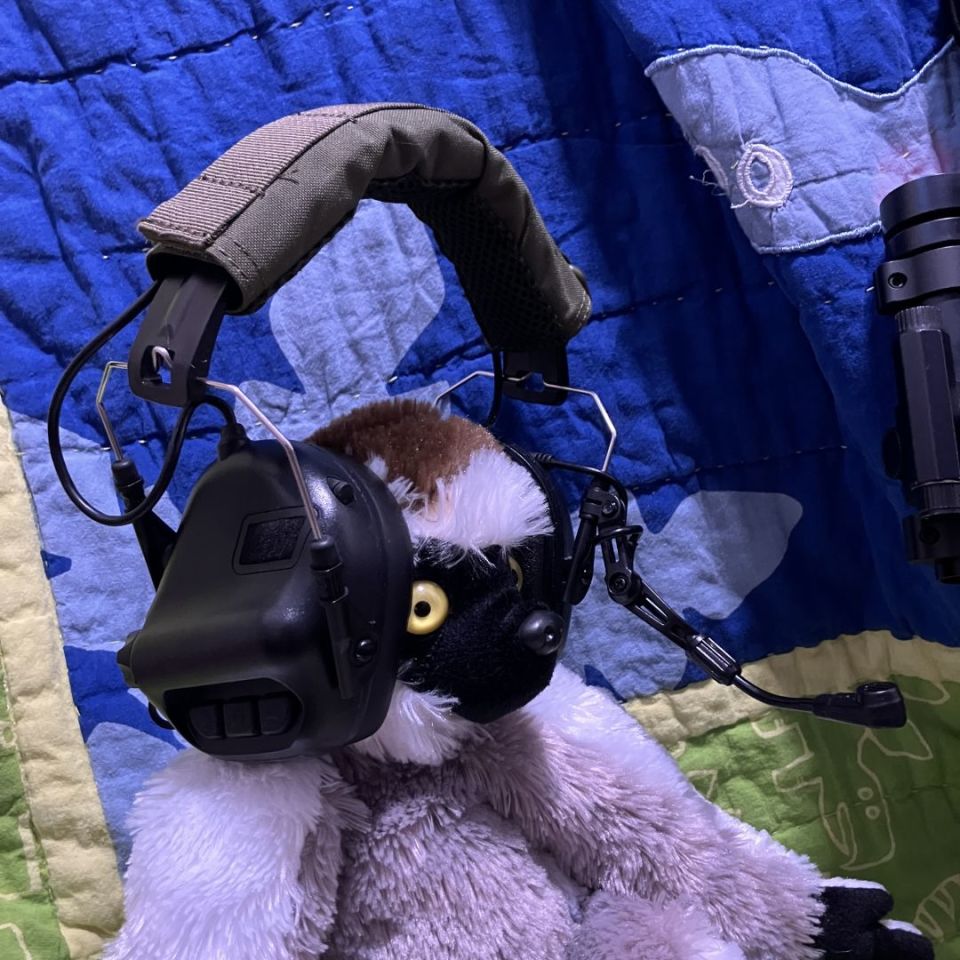 Image 2 - Earmore OpsMan ear pro