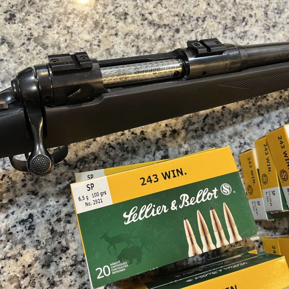 Image 2 - Model 11 .243 + Ammo