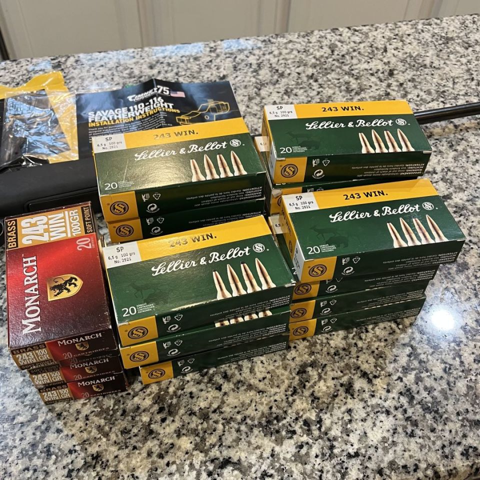 Image 3 - Model 11 .243 + Ammo