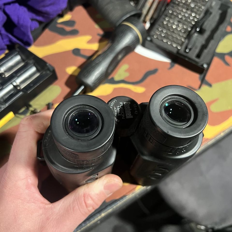 Image 3 - Bushnell Fusion 10x42 Binos 