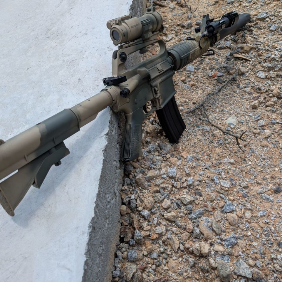 Image 3 - Gordy almost clone correct 