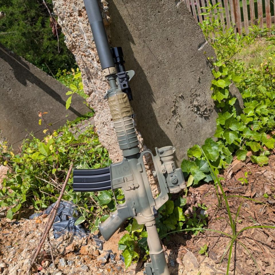 Image 2 - Gordy almost clone correct 