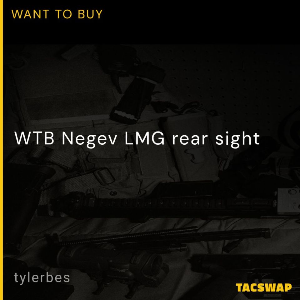Image 1 - WTB Negev LMG rear sight