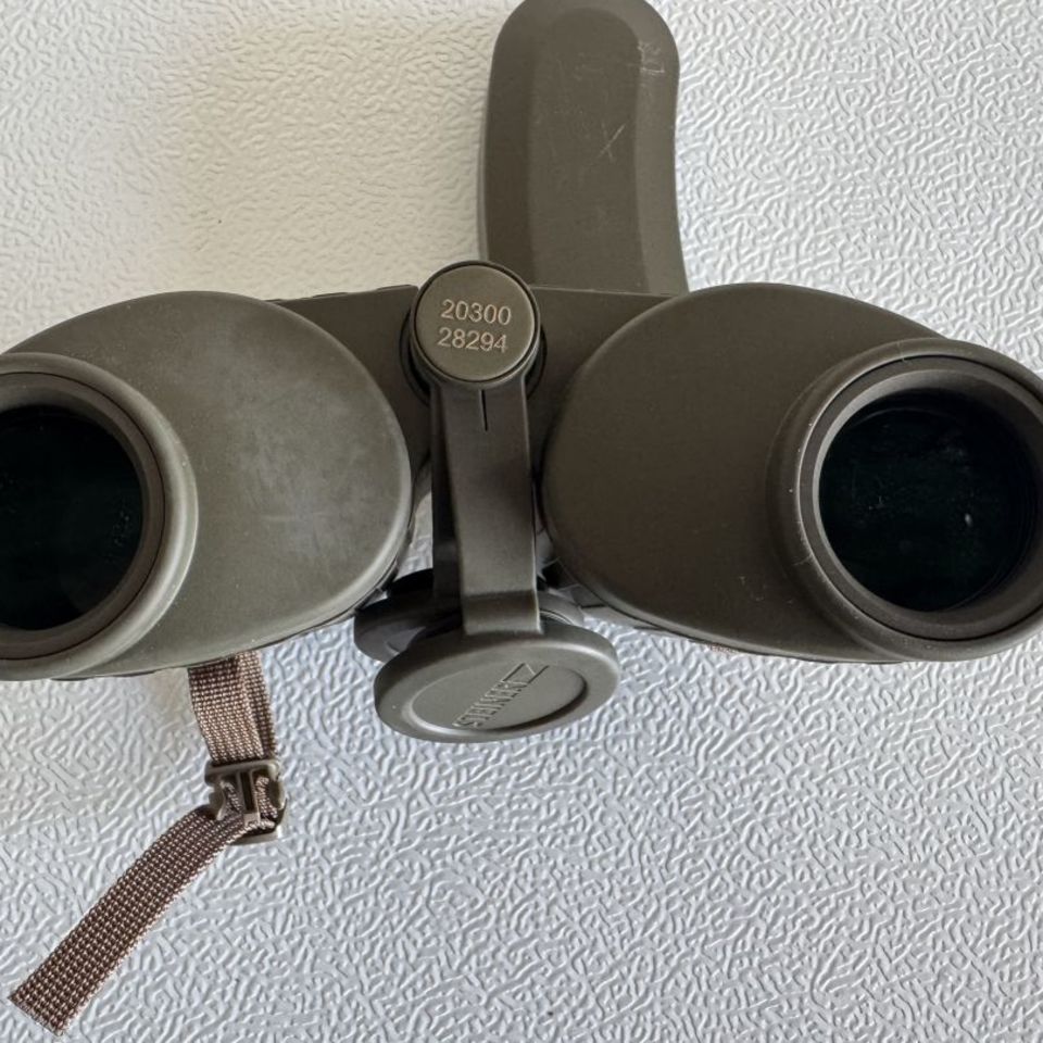 Image 4 - Steiner Binos