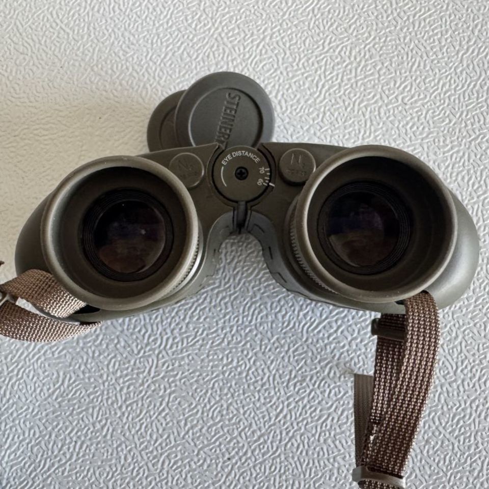 Image 3 - Steiner Binos