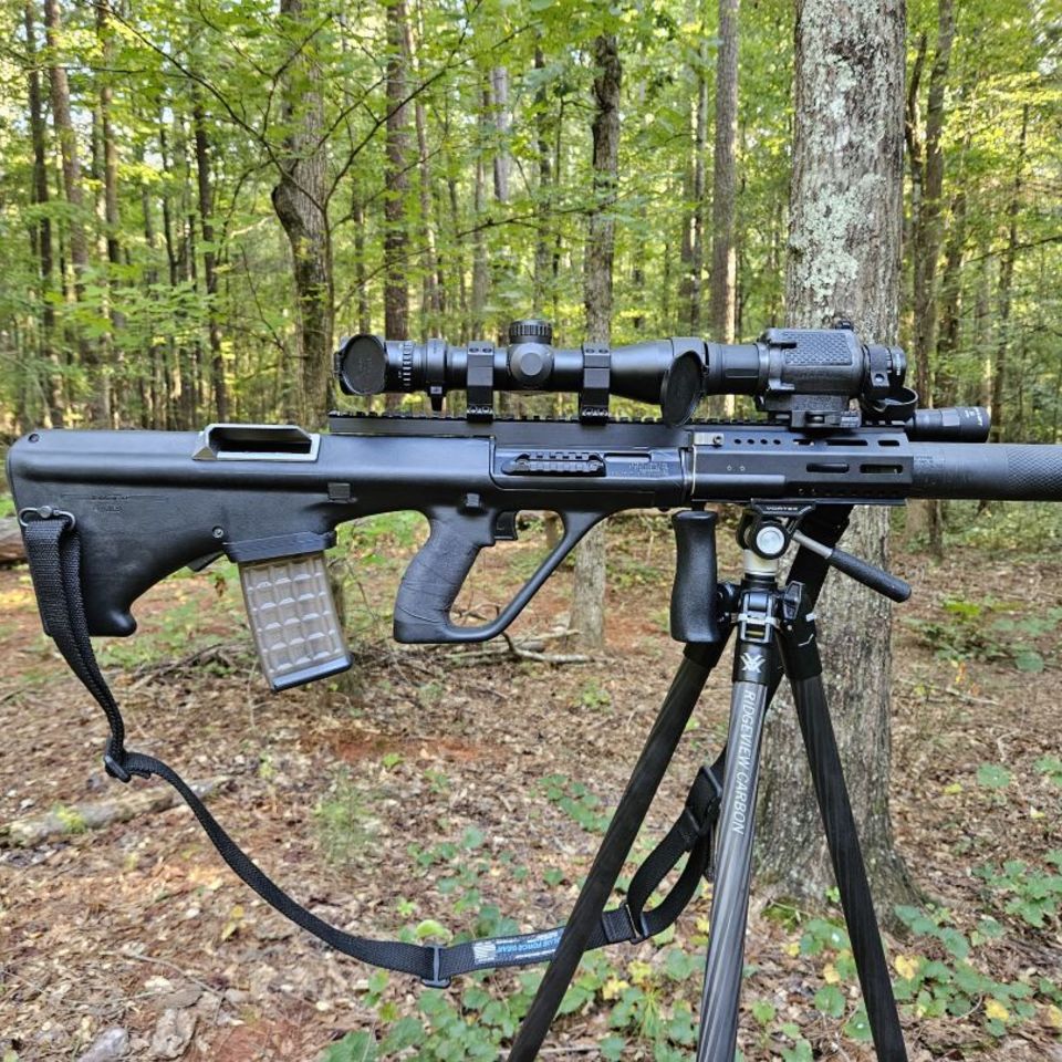 Image 5 -  AUG A3 ARCA SD