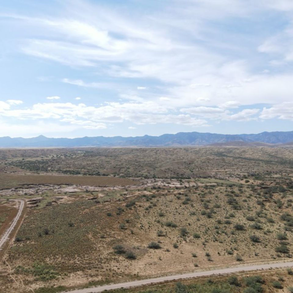 Image 4 - 81.25AC Hunt/Shooting Land