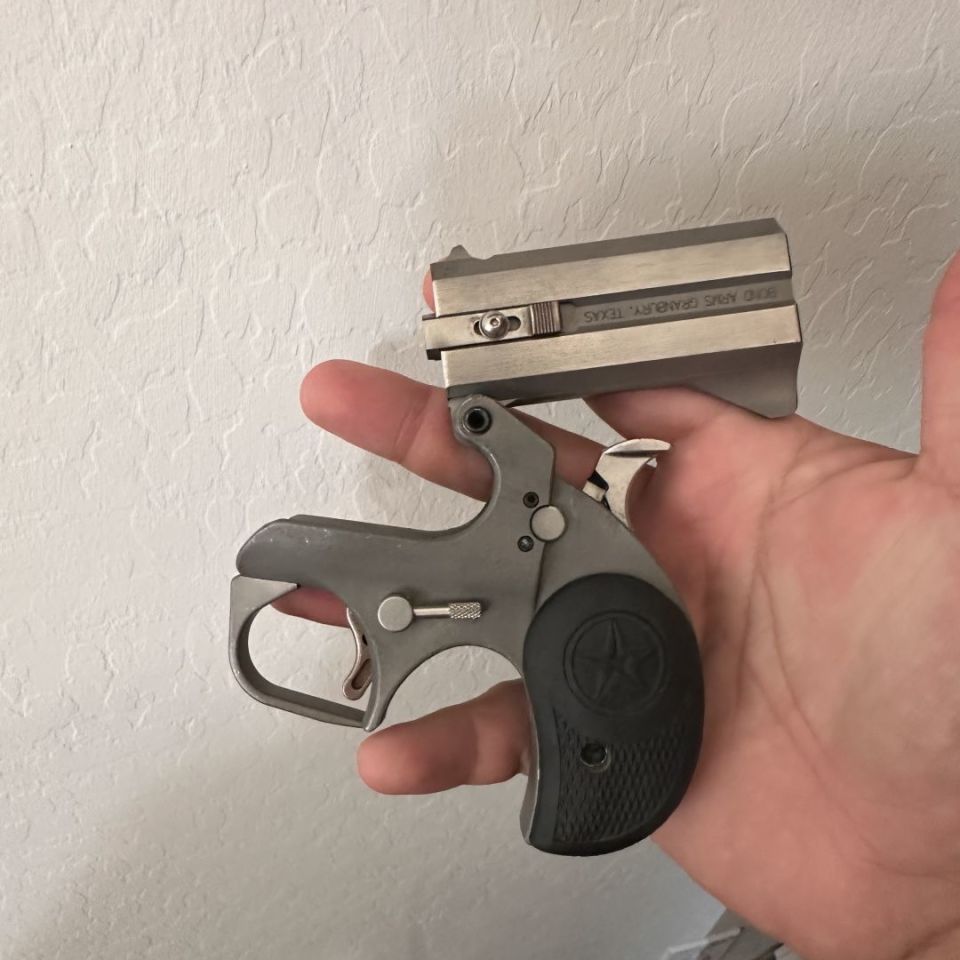 Image 3 - Bond Arms Rowdy