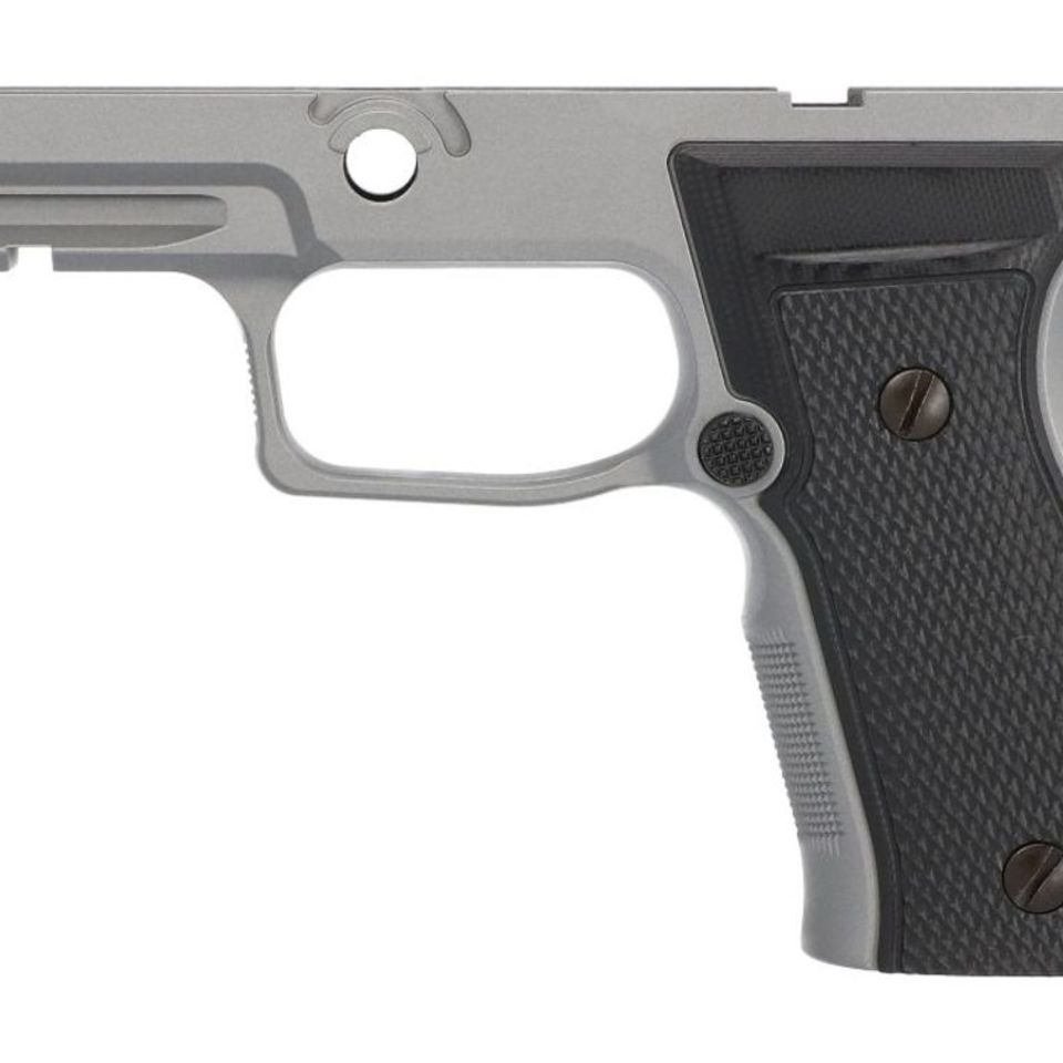 Image 4 - P320 Grip Modules, TXG, AXG, X