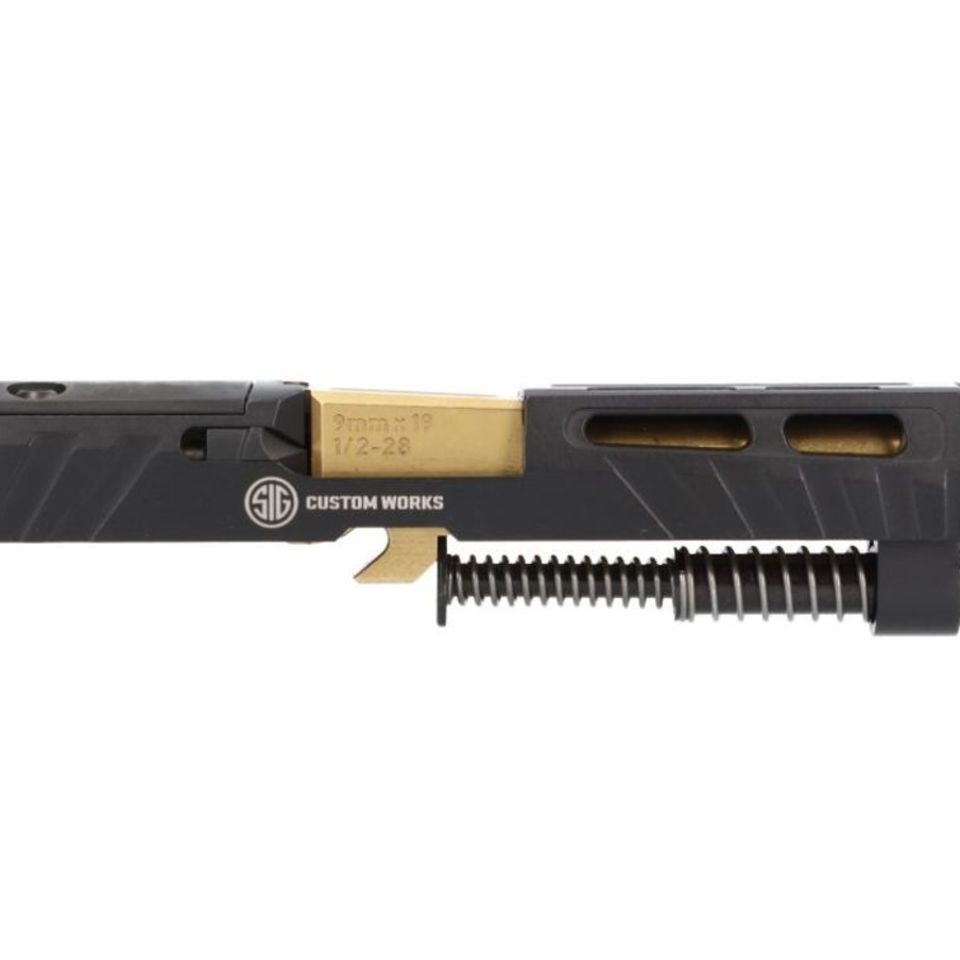 Image 2 - P320 Slides Many Options Avail