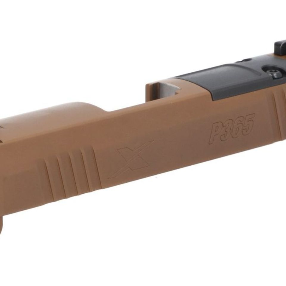 Image 4 - P365 Slides Several Options. 