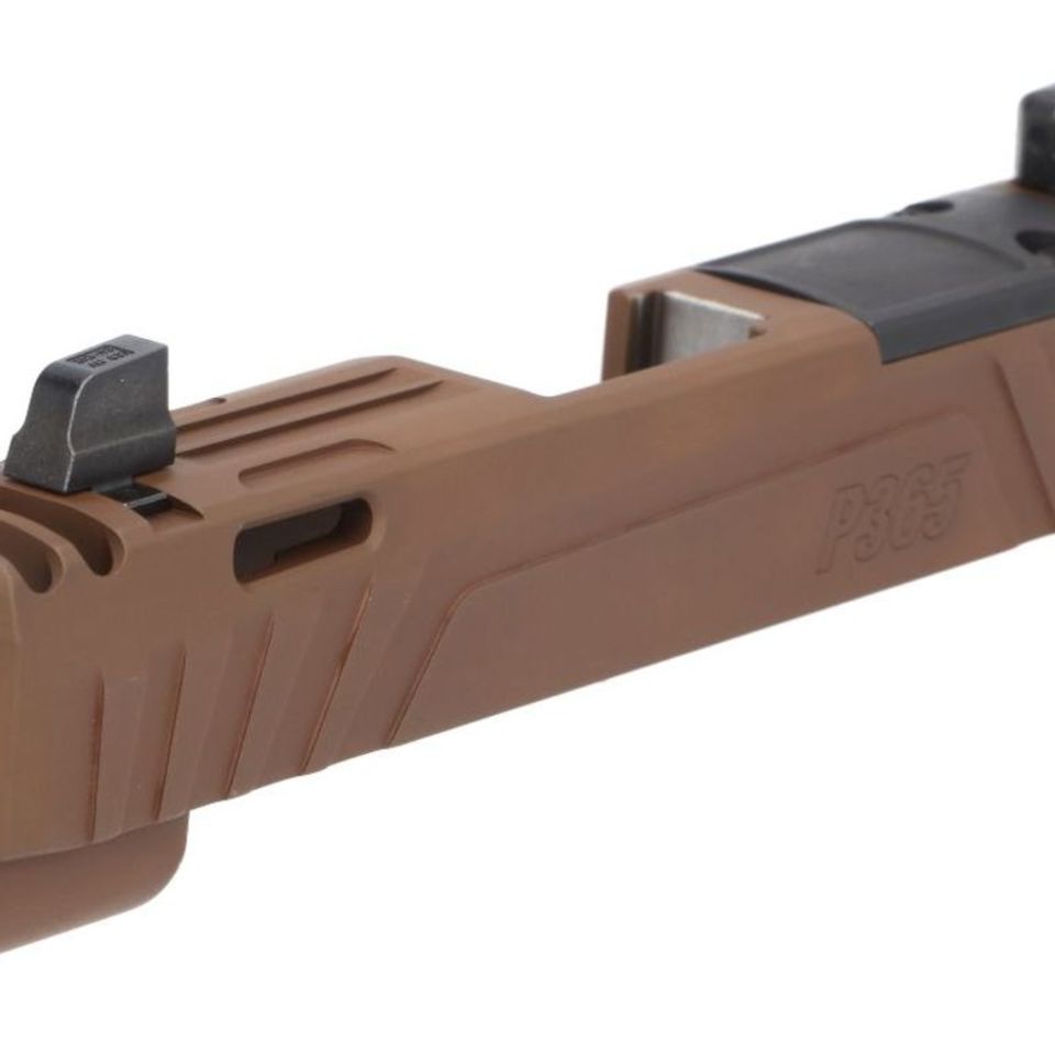 Image 2 - P365 Slides Several Options. 