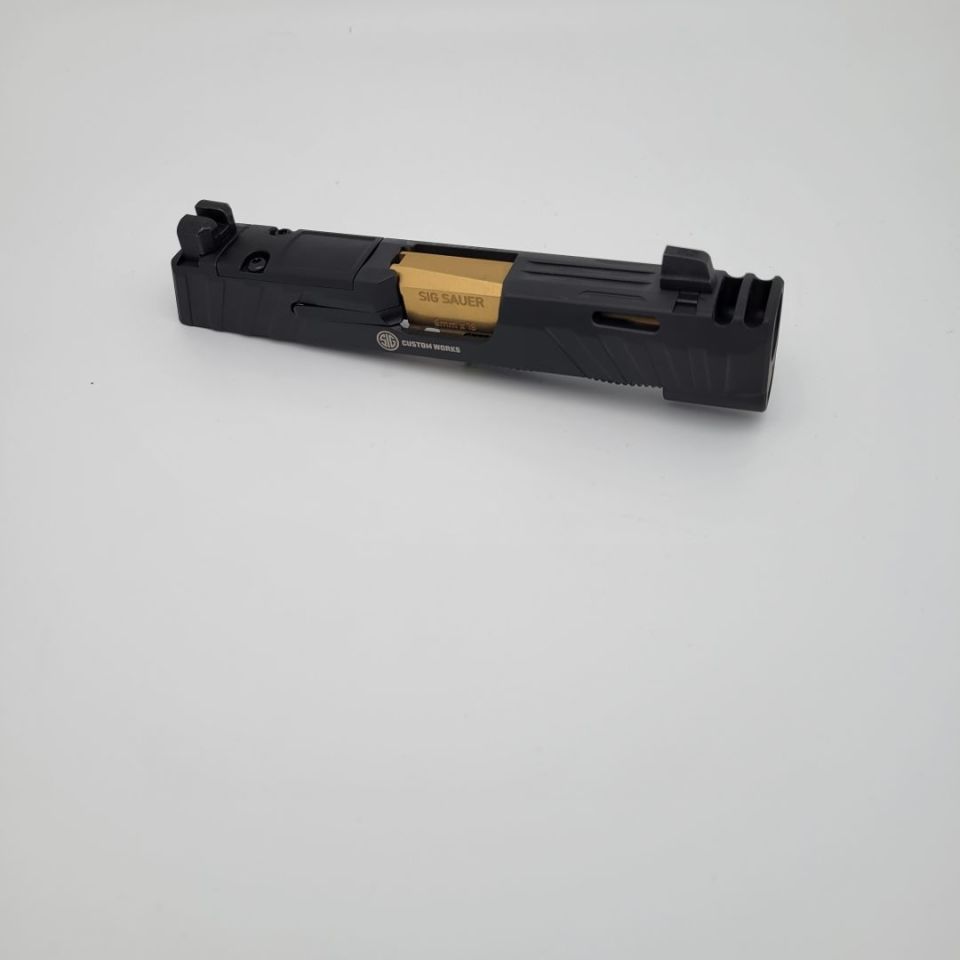 Image 1 - P365 Slides Several Options. 