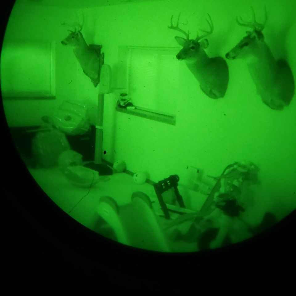 Image 2 - MUM/MINI 14