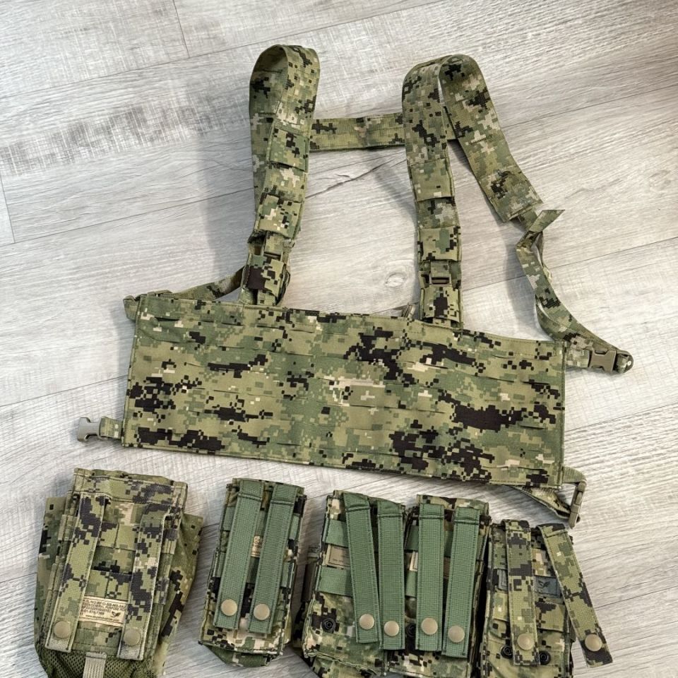 Image 2 - AOR2 First Spear & Eagle Rig