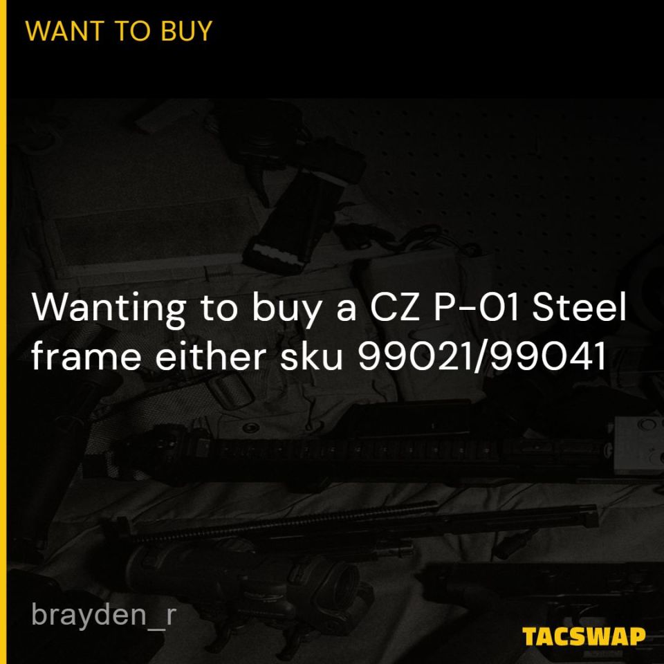Image 1 - CZ P-01 Steel frame
