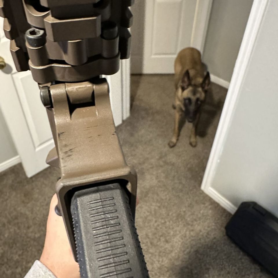 Image 2 - Daniel Defense M4A1