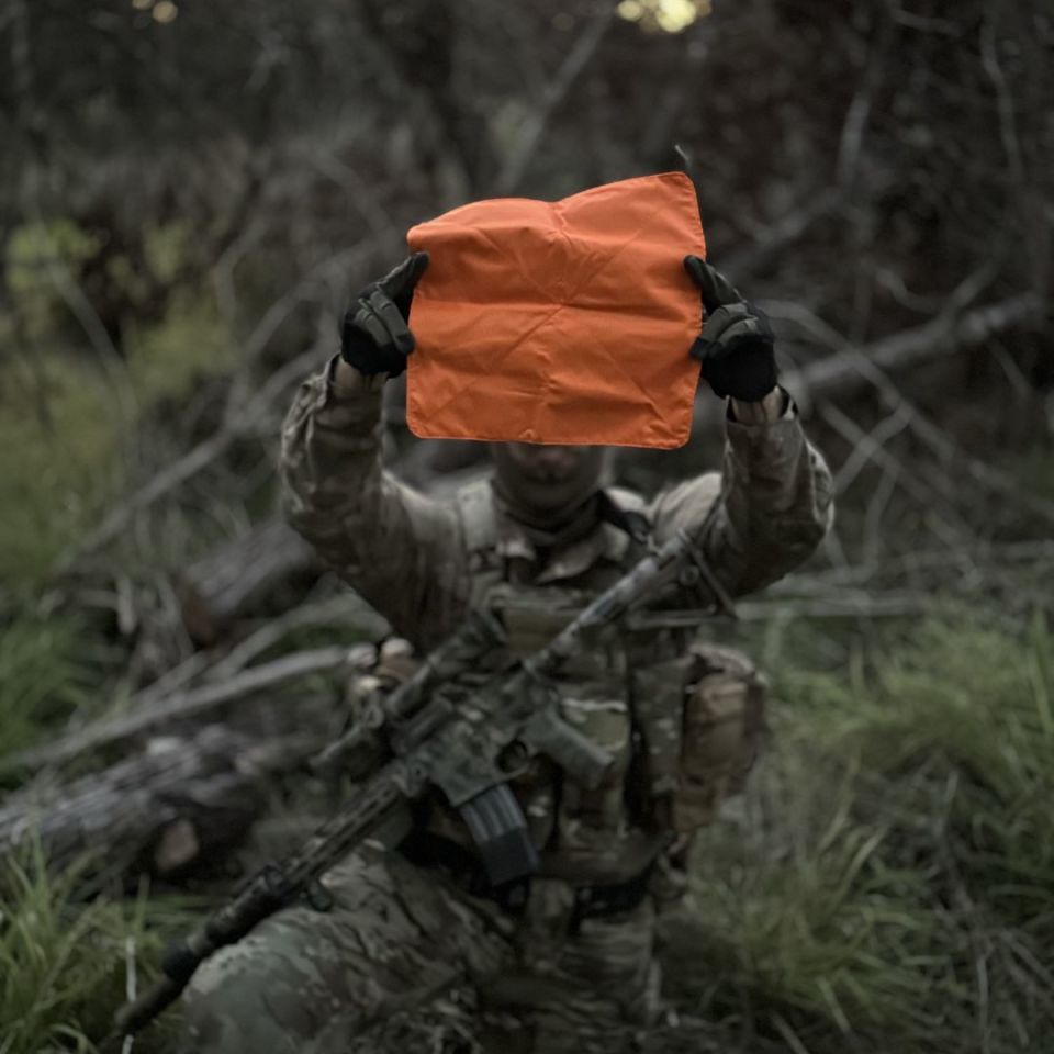 Image 4 - GOM Designs ISP