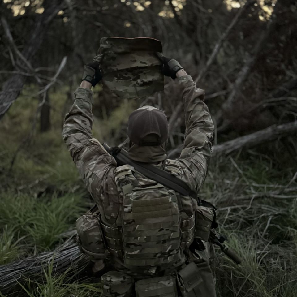 Image 5 - GOM Designs ISP