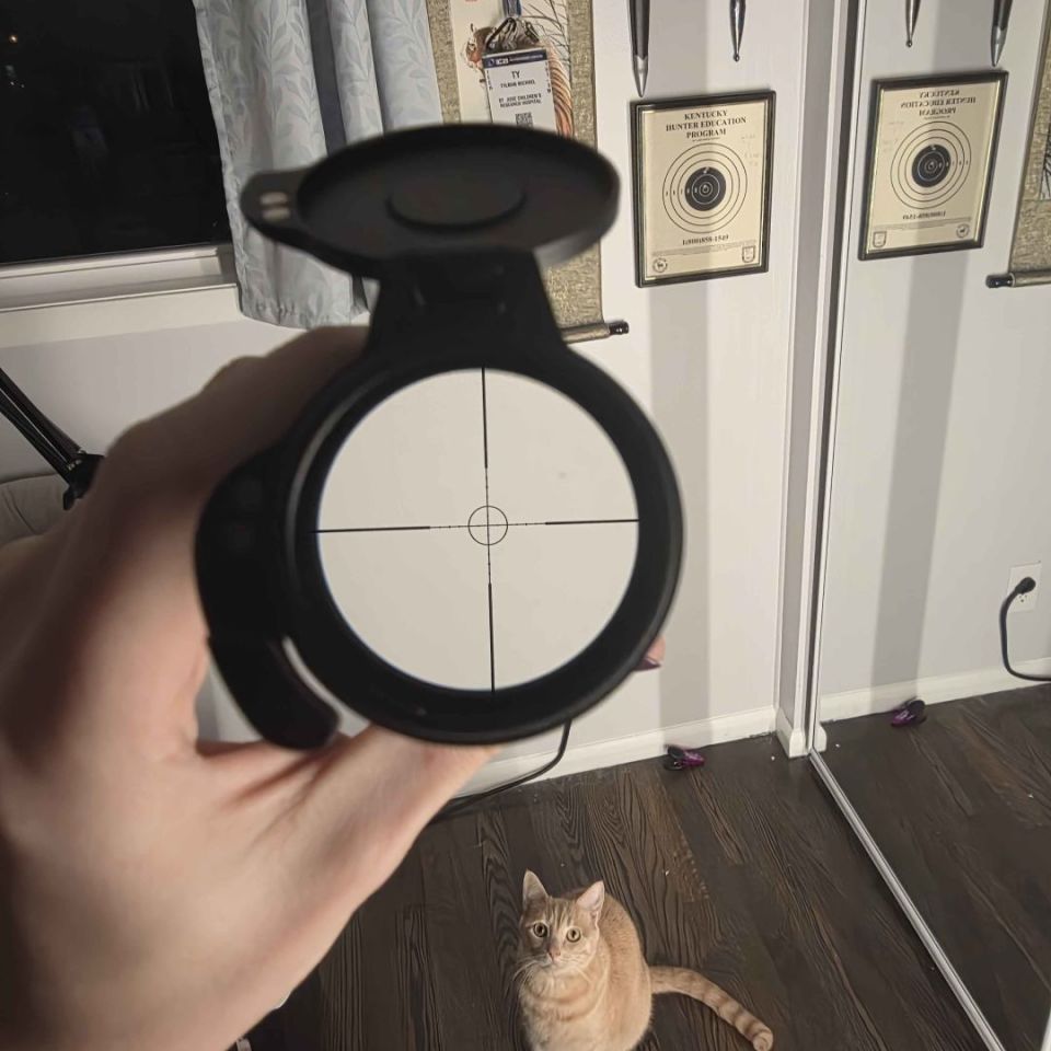 Image 2 - Leupold VX-R LPVO FireDot 