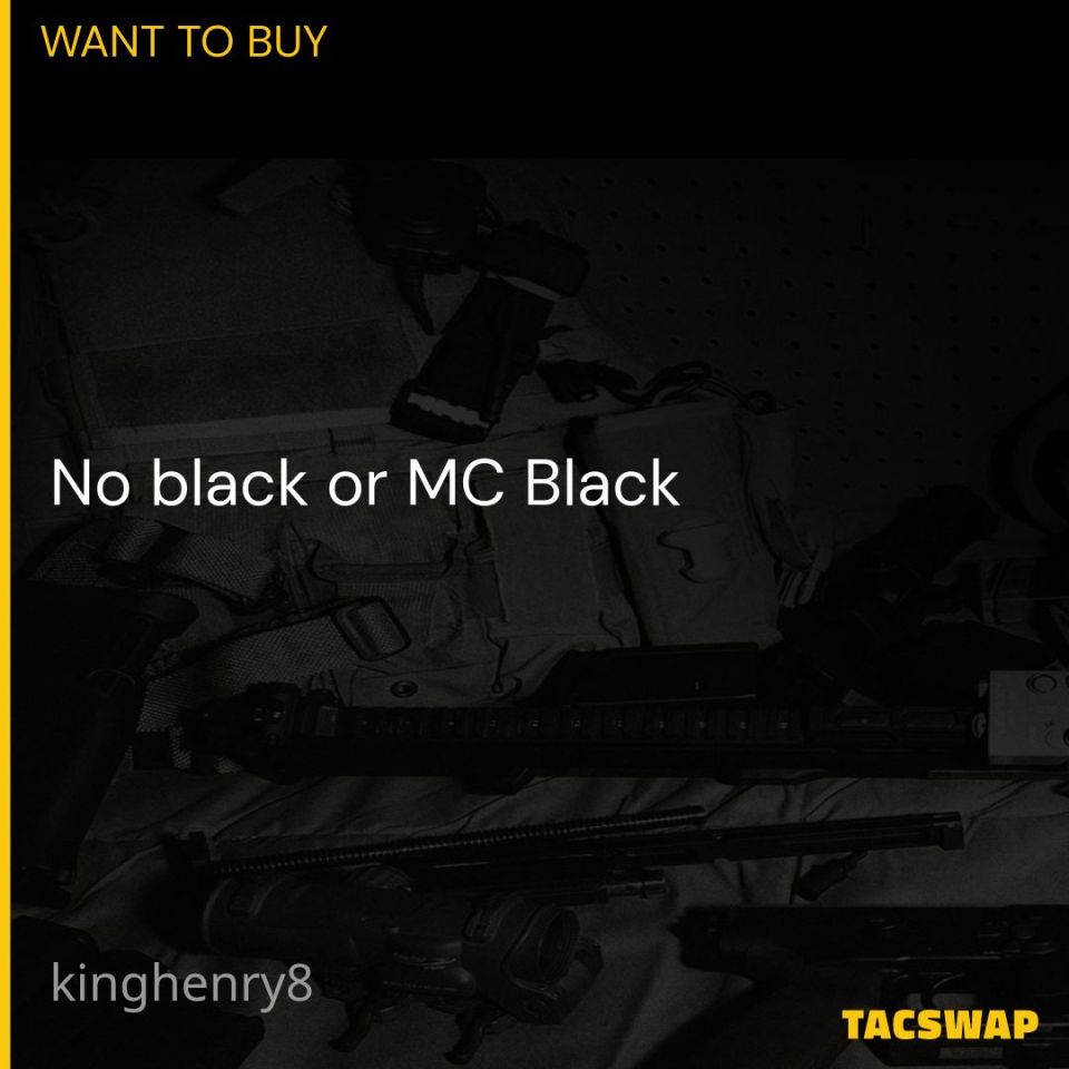 Image 1 - WTB Ferro DOPE Front flap.