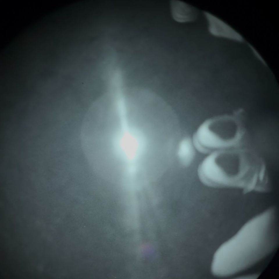 Image 2 - DBAL D2 Tan Green Vis