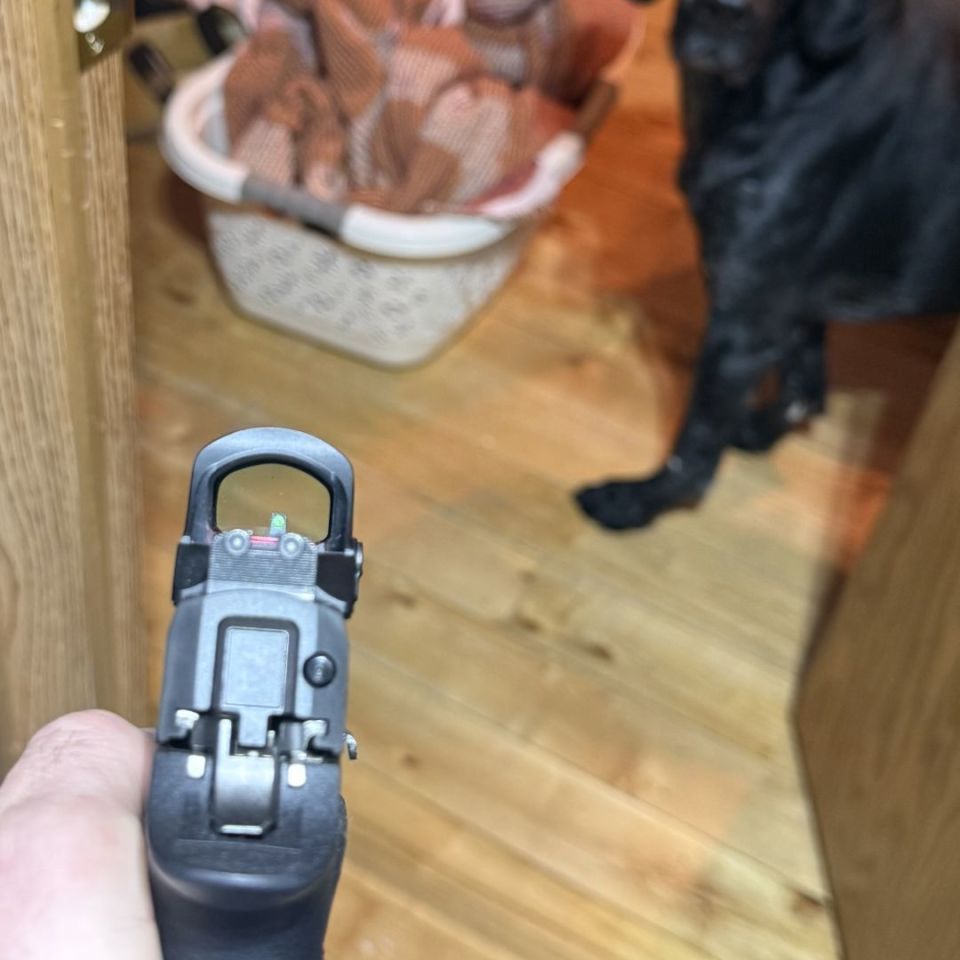 Image 4 - Sig P320 pro cut slide+optic