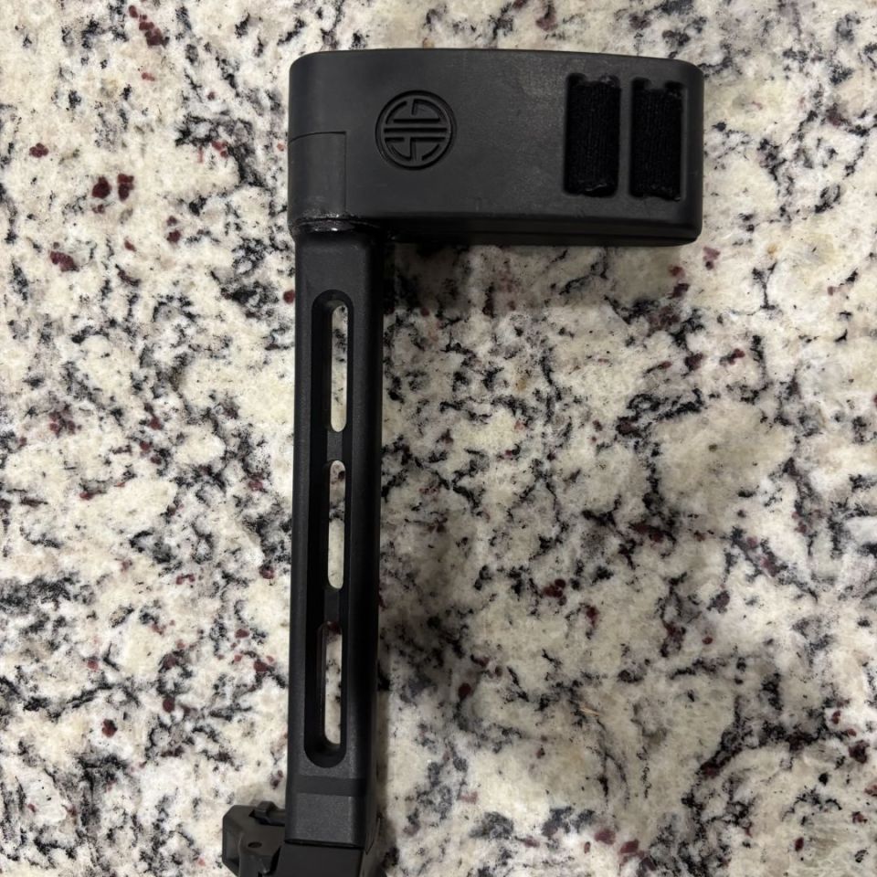 Image 1 - SIG 1913 Brace 