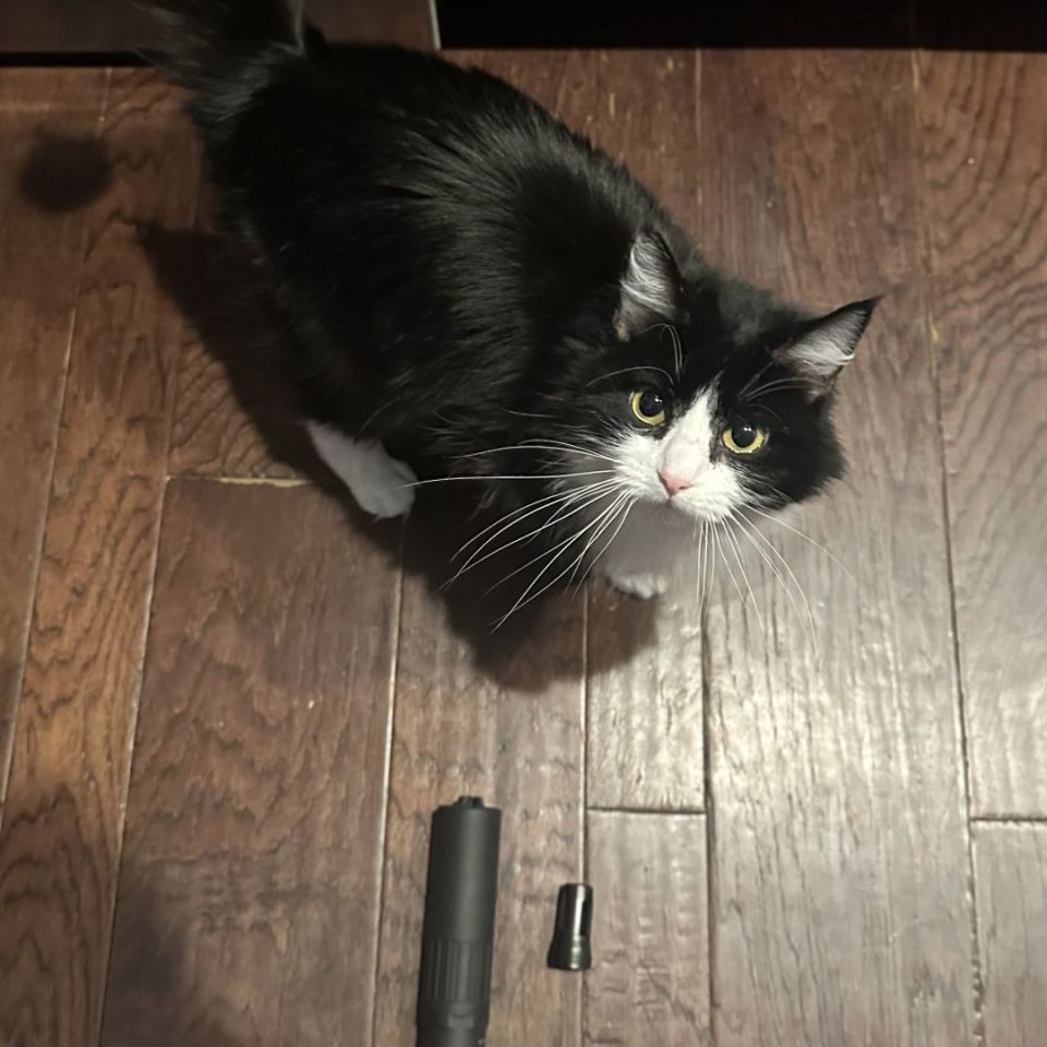 Image 1 - CAT Wb 718 Inconel (New)  