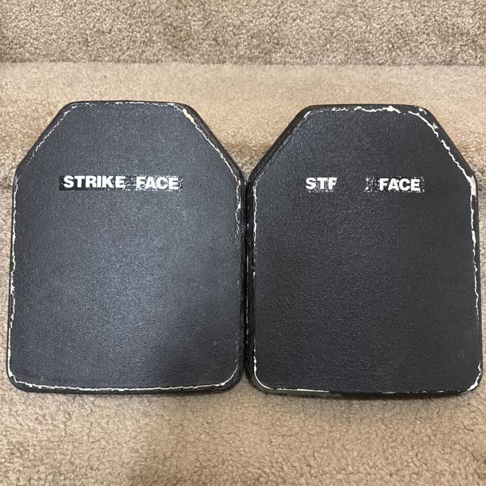 Image 3 - TAP level 3 plates 