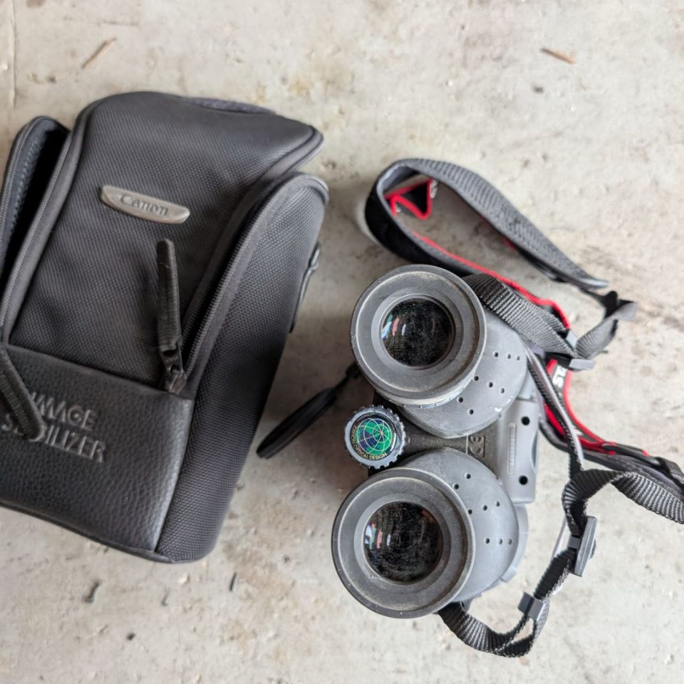 Image 4 - Canon 10x42 L IS WP binoculars