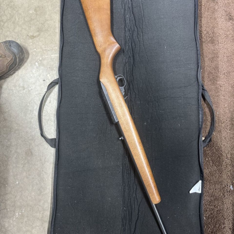 Image 1 - Ruger 10/22