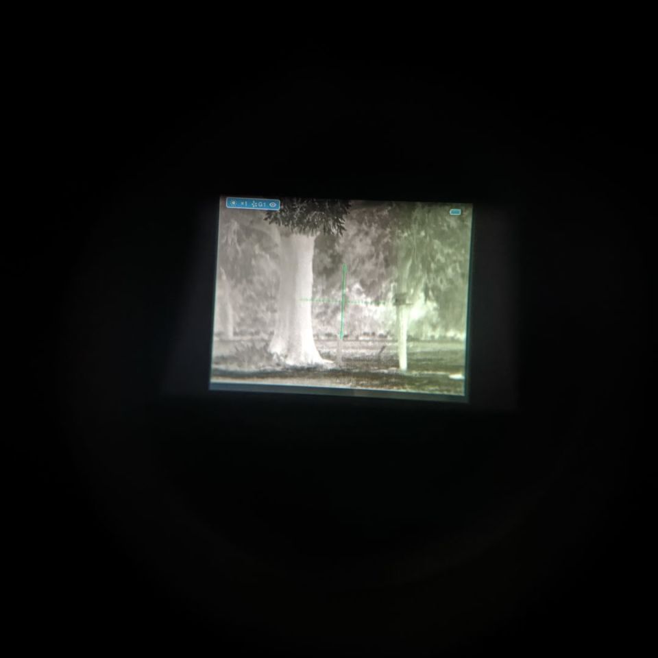 Image 4 - Bering Hogster R35