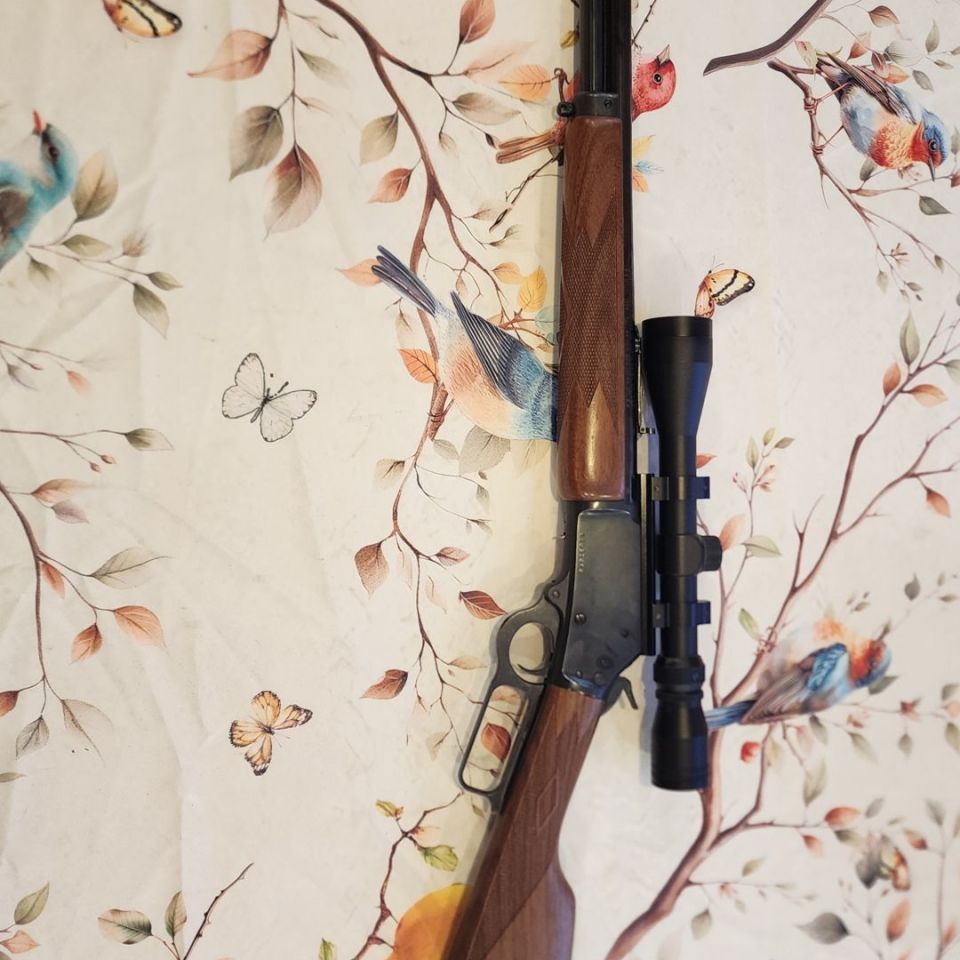 Image 2 - Marlin 1894