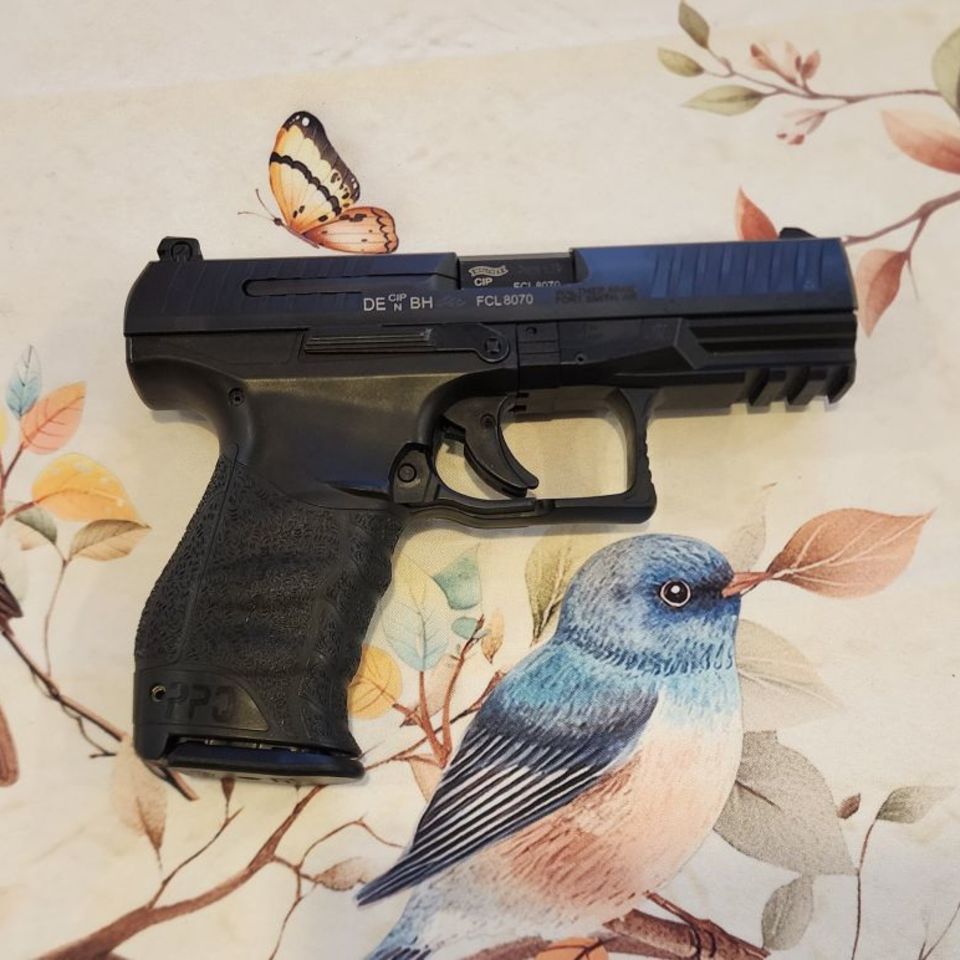 Image 2 - Walther PPQ 