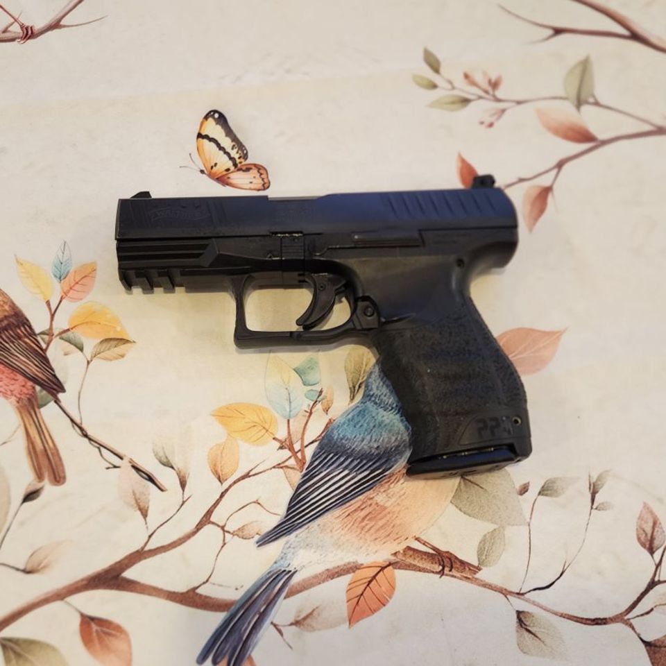 Image 1 - Walther PPQ 